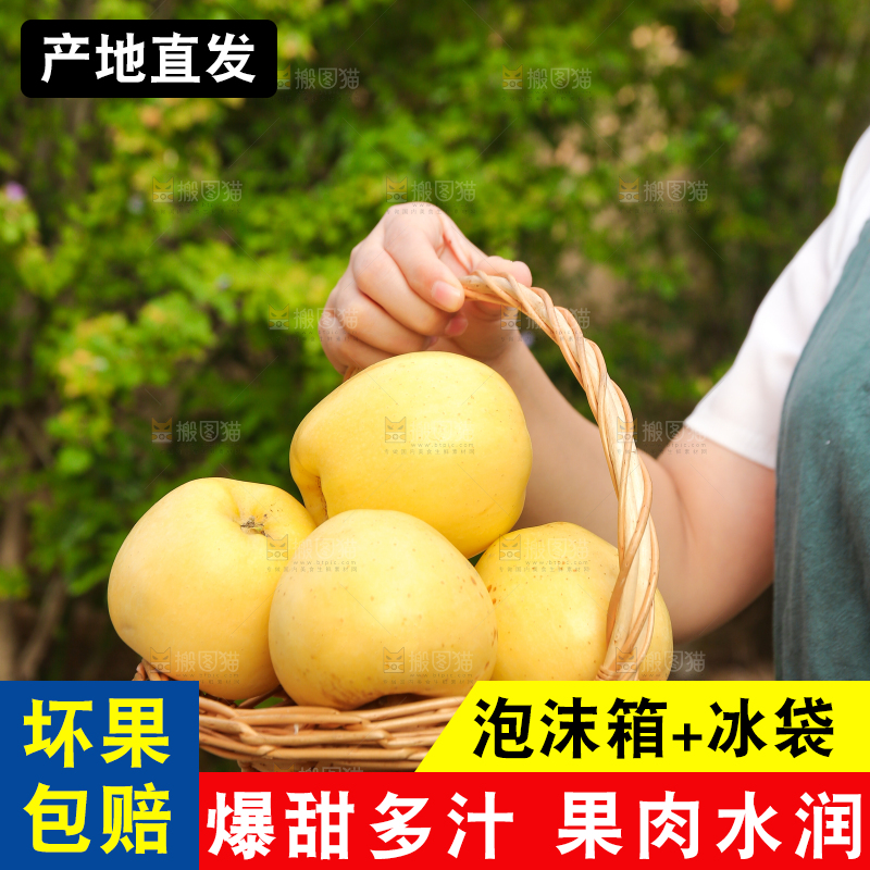 手里拿着维纳斯苹果