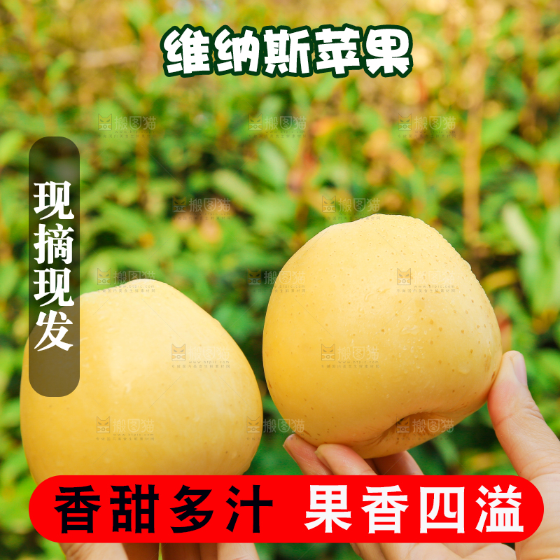手里拿着维纳斯苹果