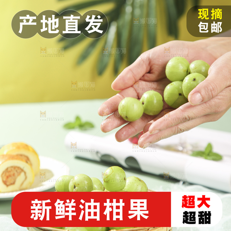 浅底上的油甘果