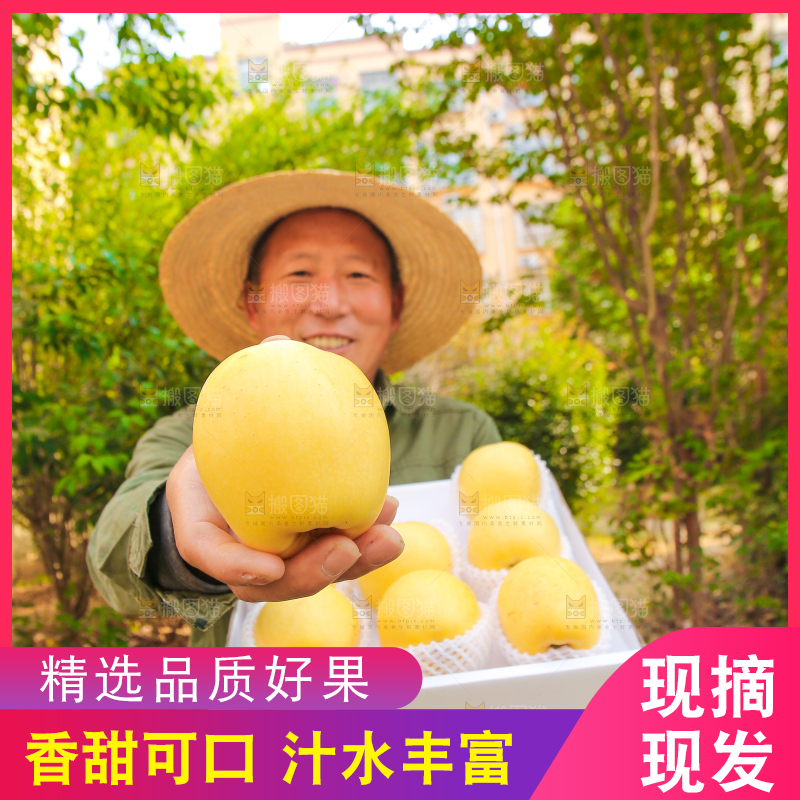 手里拿着维纳斯苹果