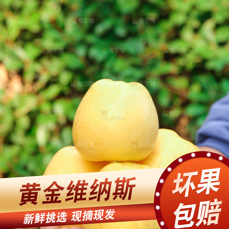 手里拿着维纳斯苹果