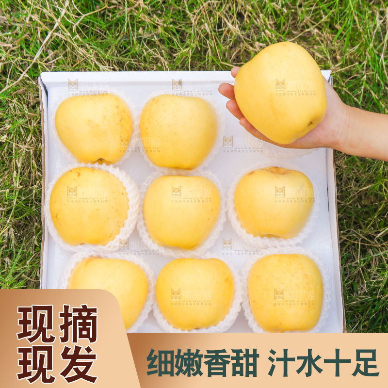 深底上的维纳斯苹果