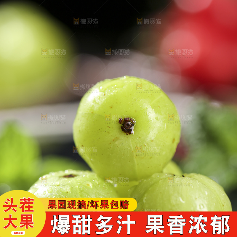 深底上的油甘果