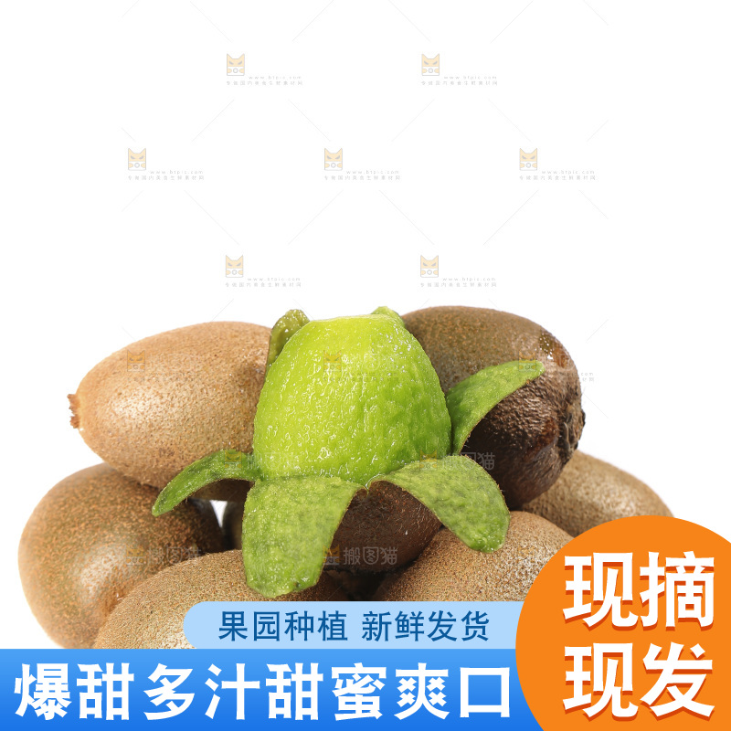白底上放着翠香猕猴桃