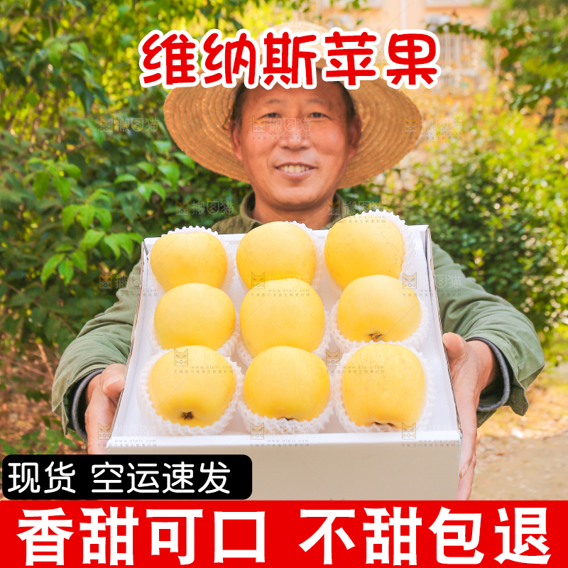 手里拿着维纳斯苹果