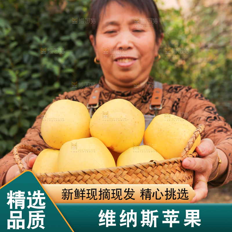 手里拿着维纳斯苹果