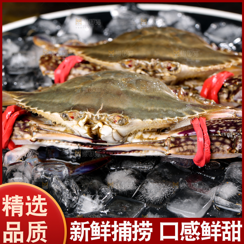 深底上放着梭子蟹