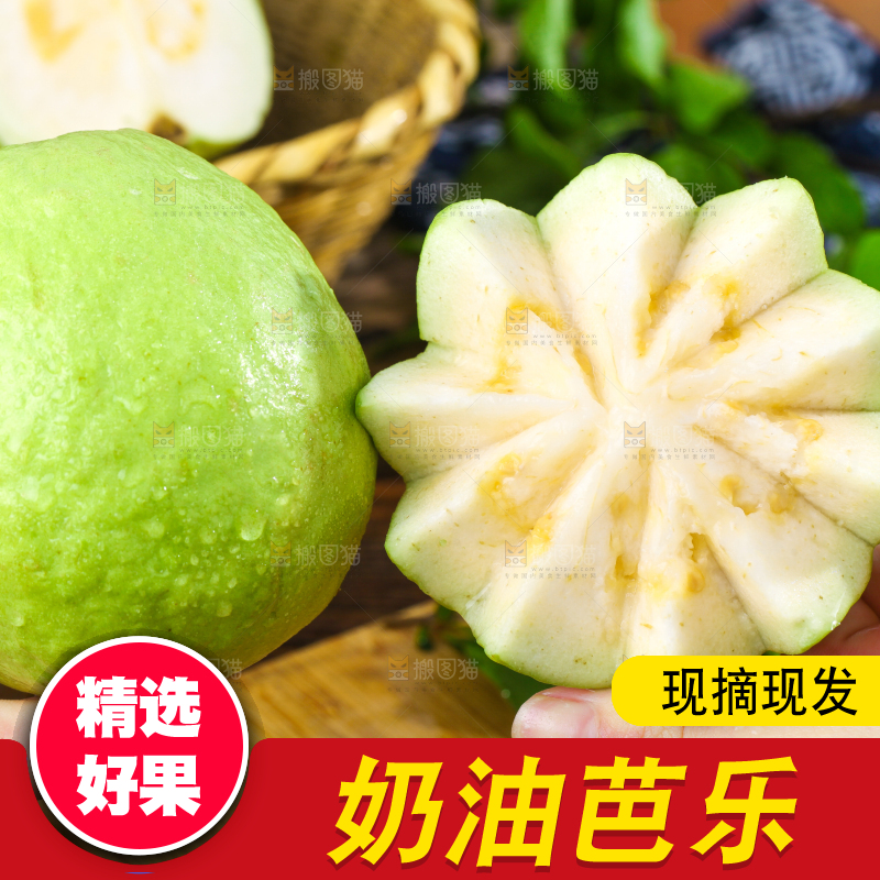 深底上的白心芭乐