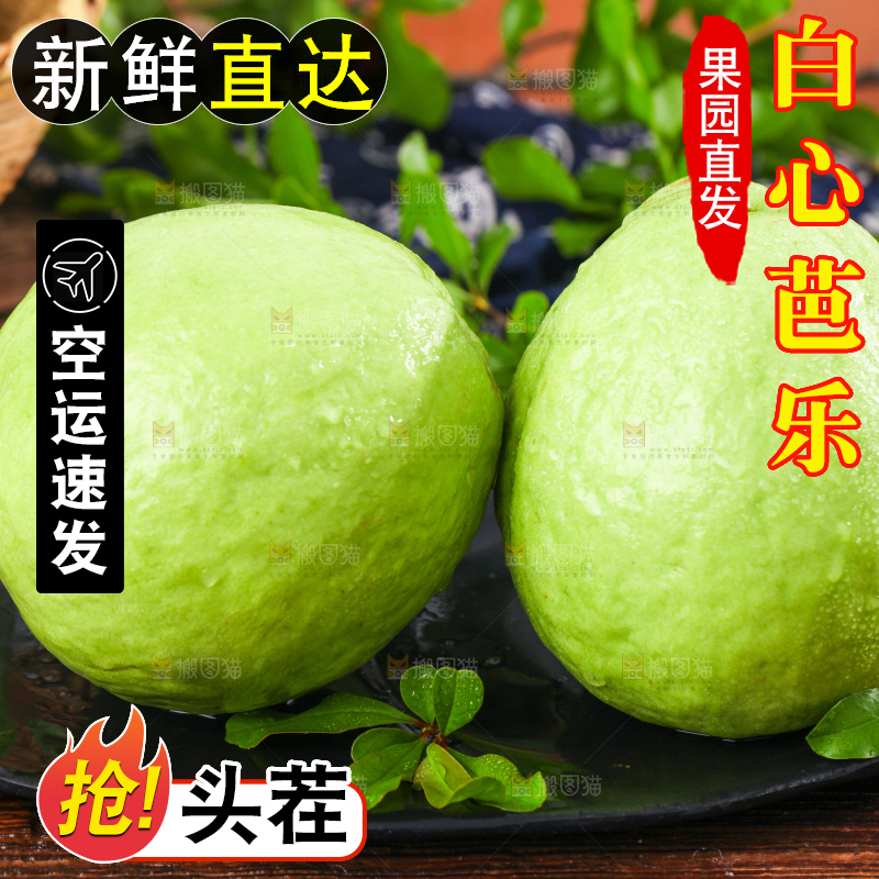 深底上的白心芭乐