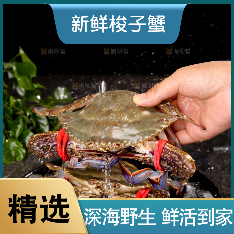 深底上放着梭子蟹