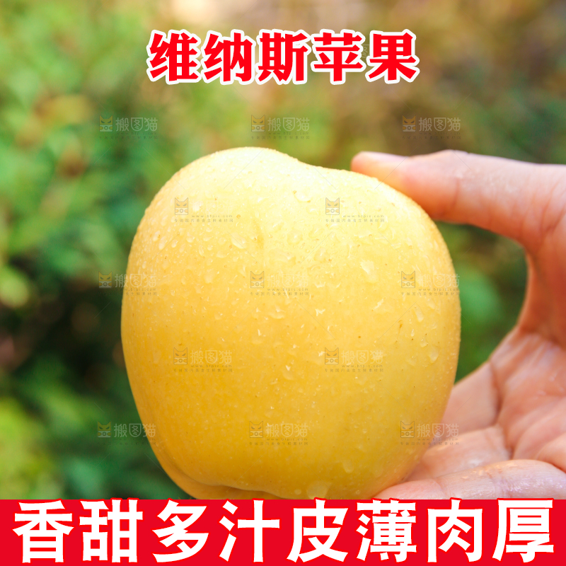 手里拿着维纳斯苹果