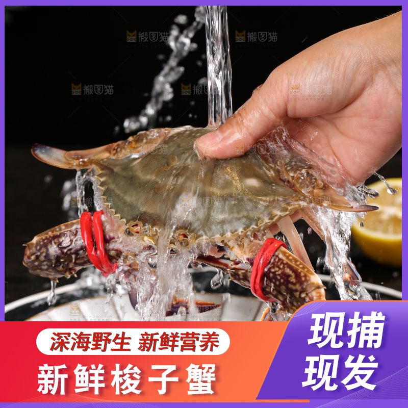 深底上放着梭子蟹
