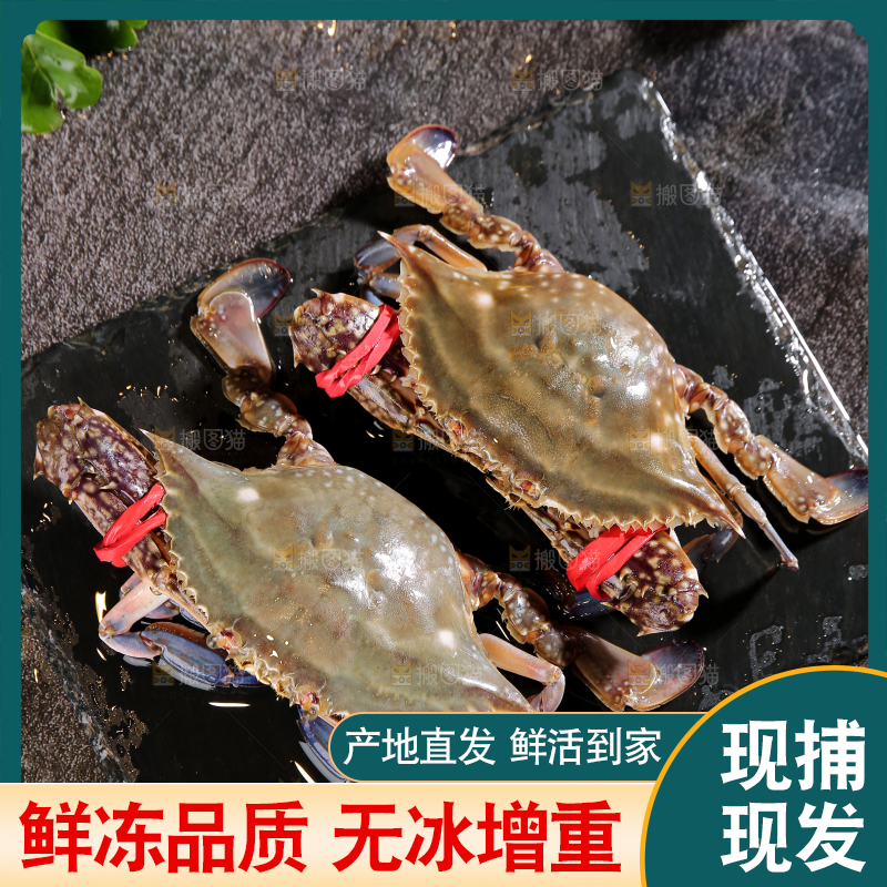 深底上放着梭子蟹
