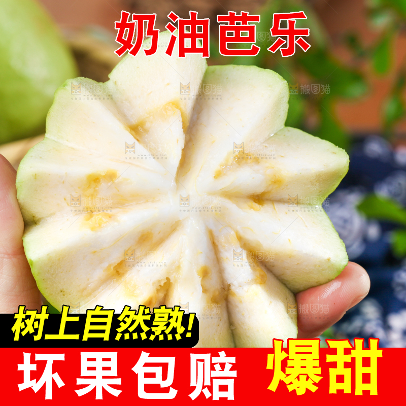 深底上的白心芭乐