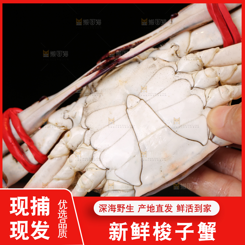 深底上放着梭子蟹