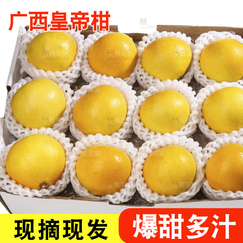 白底上的皇帝柑
