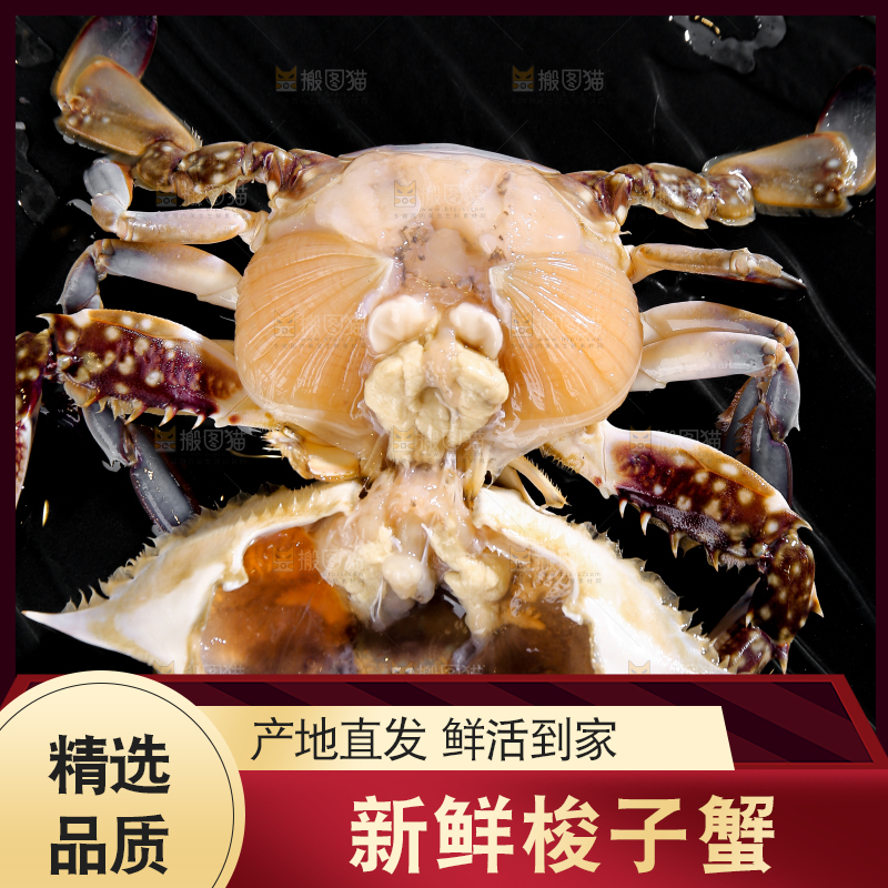 深底上放着梭子蟹