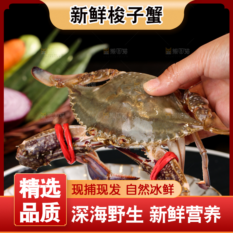 深底上放着梭子蟹