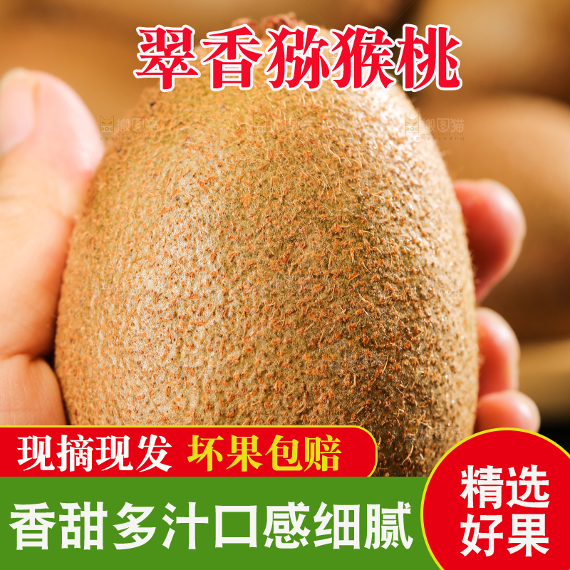 黑底上的翠香猕猴桃