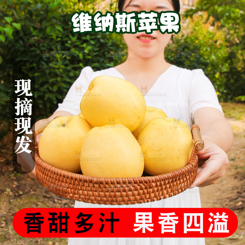 手里拿着维纳斯苹果