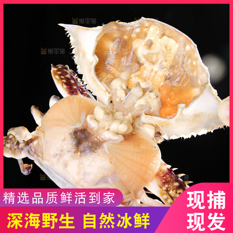 深底上放着梭子蟹