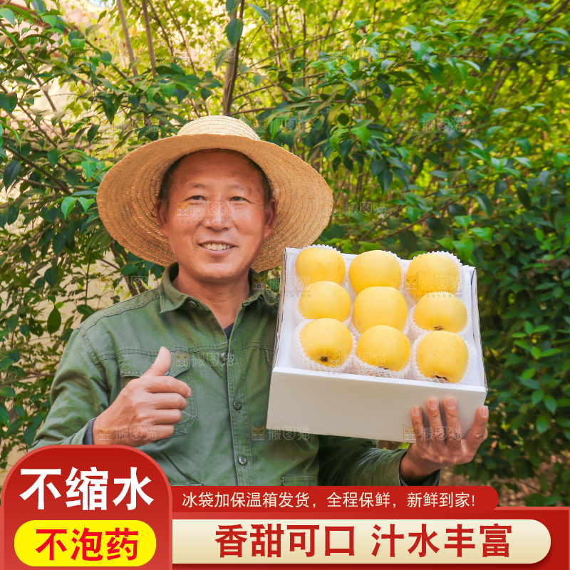 手里拿着维纳斯苹果