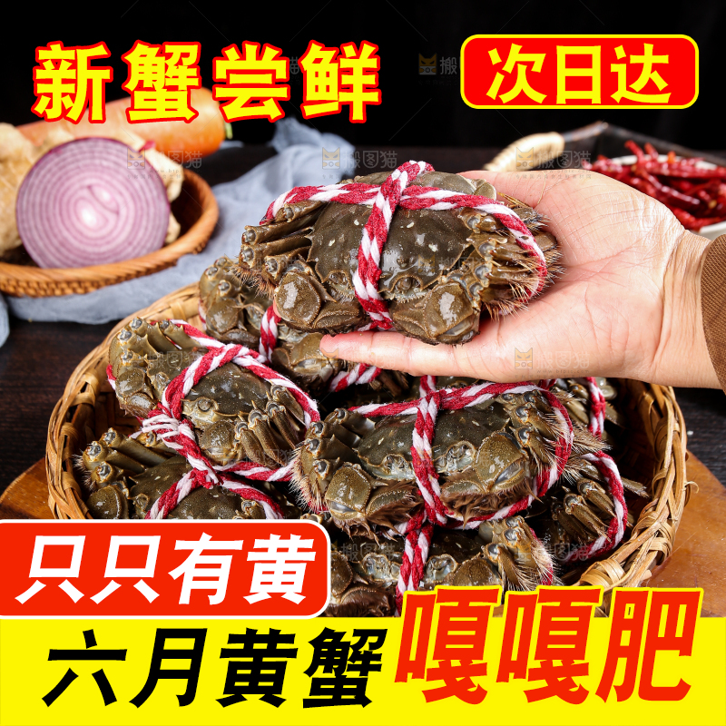 黑底上的鲜活大闸蟹