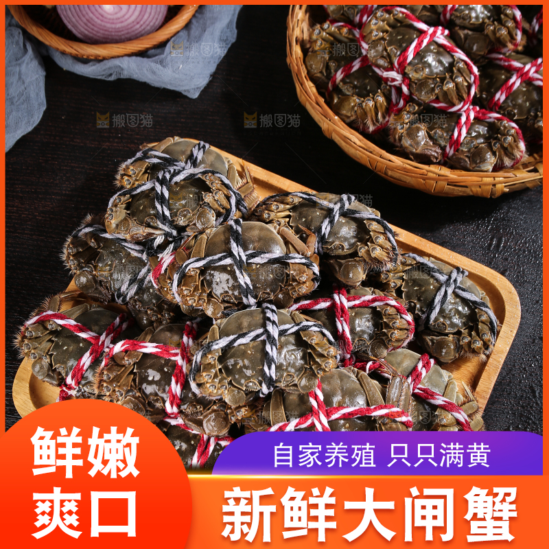 黑底上的鲜活大闸蟹