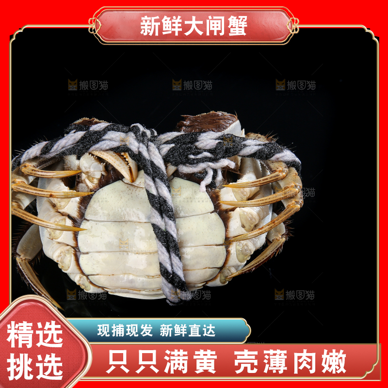 黑底上的鲜活大闸蟹