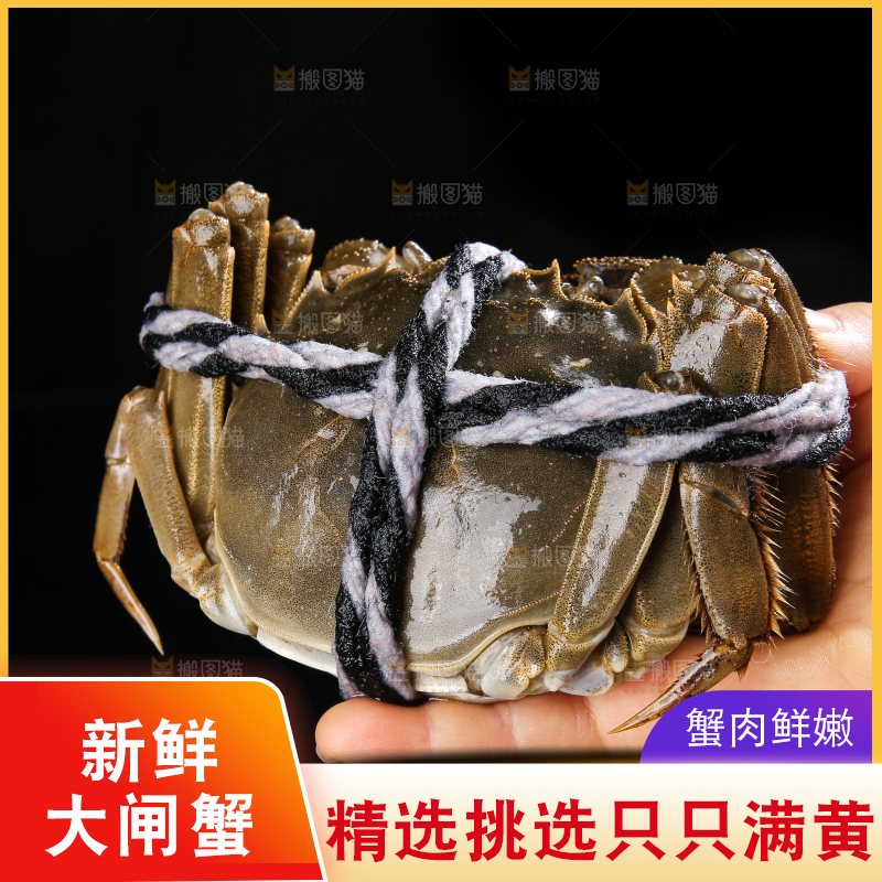 黑底上的鲜活大闸蟹