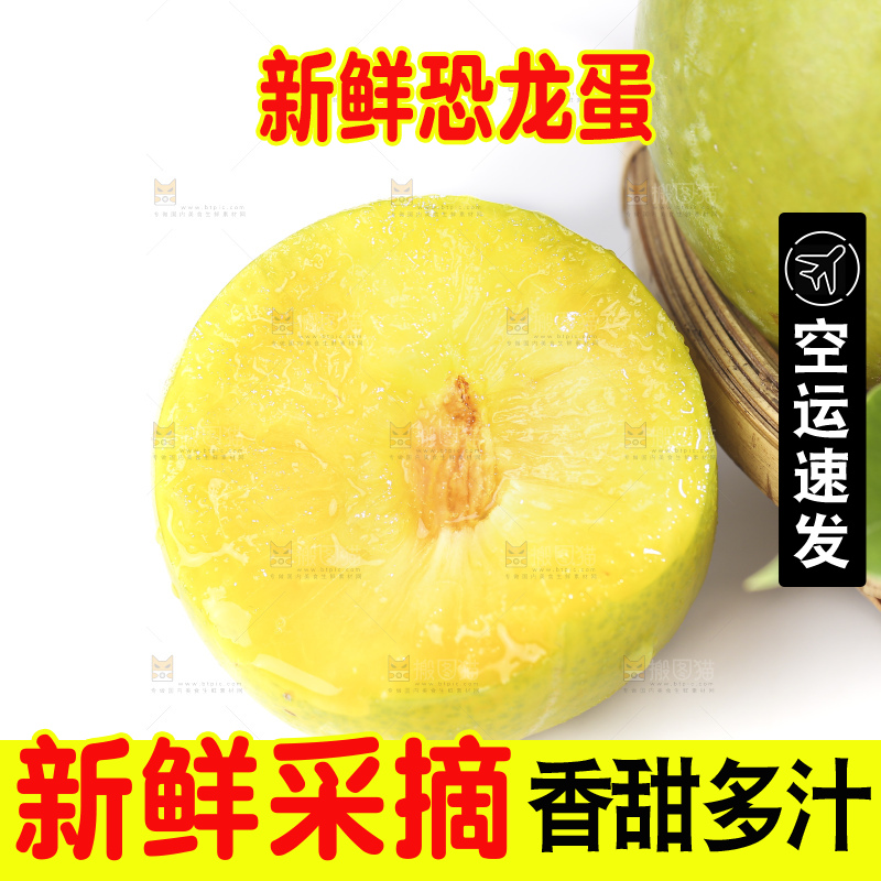 白底上放着新鲜恐龙蛋