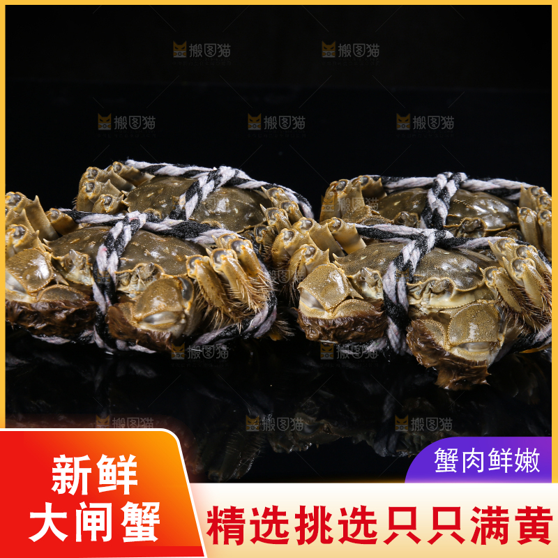 黑底上的鲜活大闸蟹