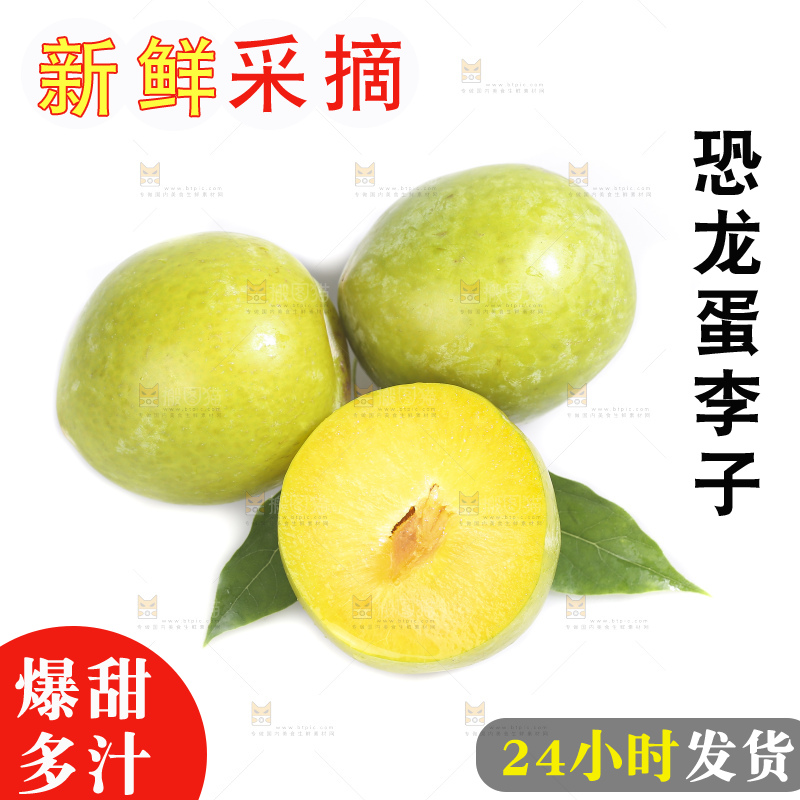 白底上放着新鲜恐龙蛋