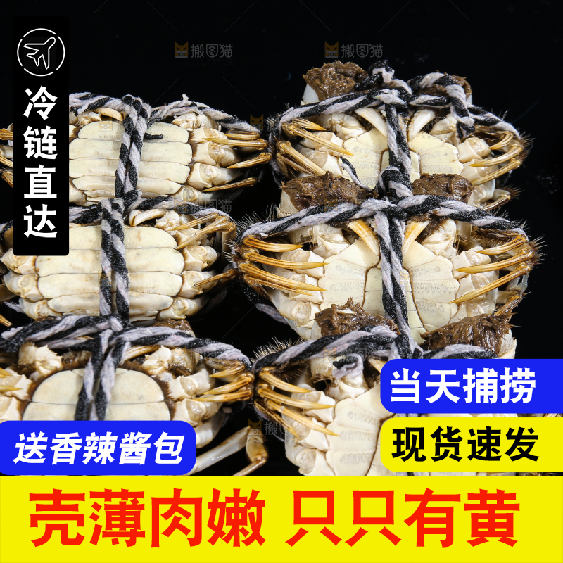 黑底上的鲜活大闸蟹