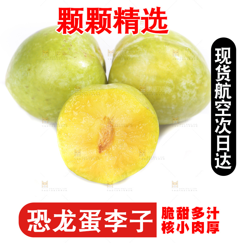 白底上放着新鲜恐龙蛋