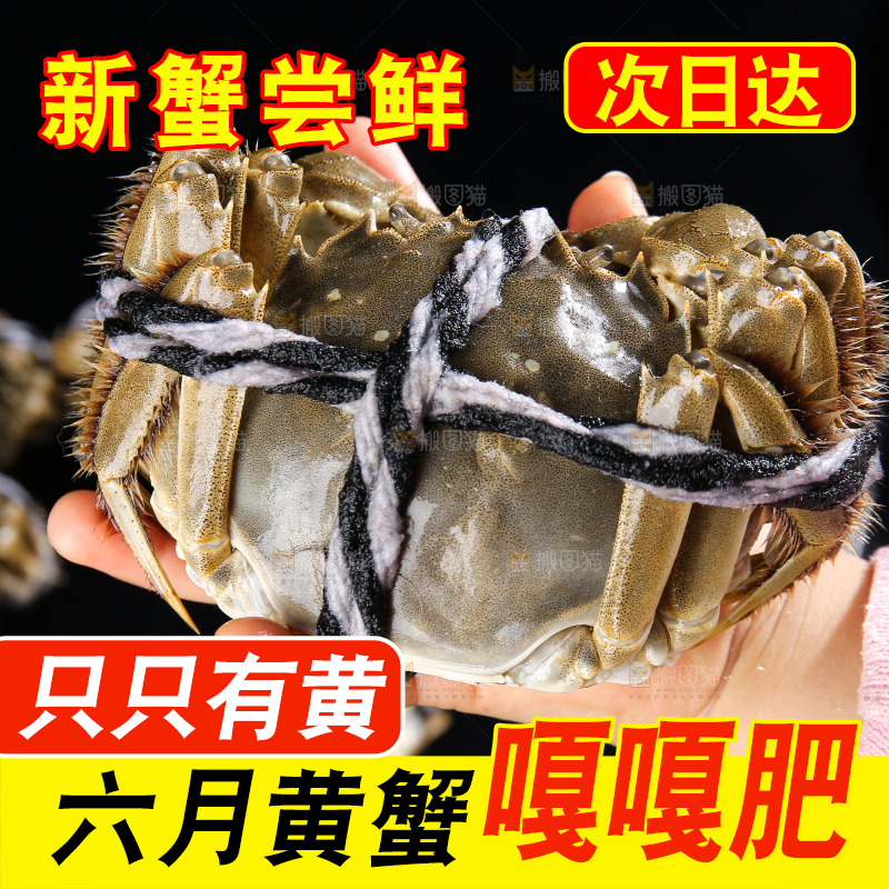 黑底上的鲜活大闸蟹