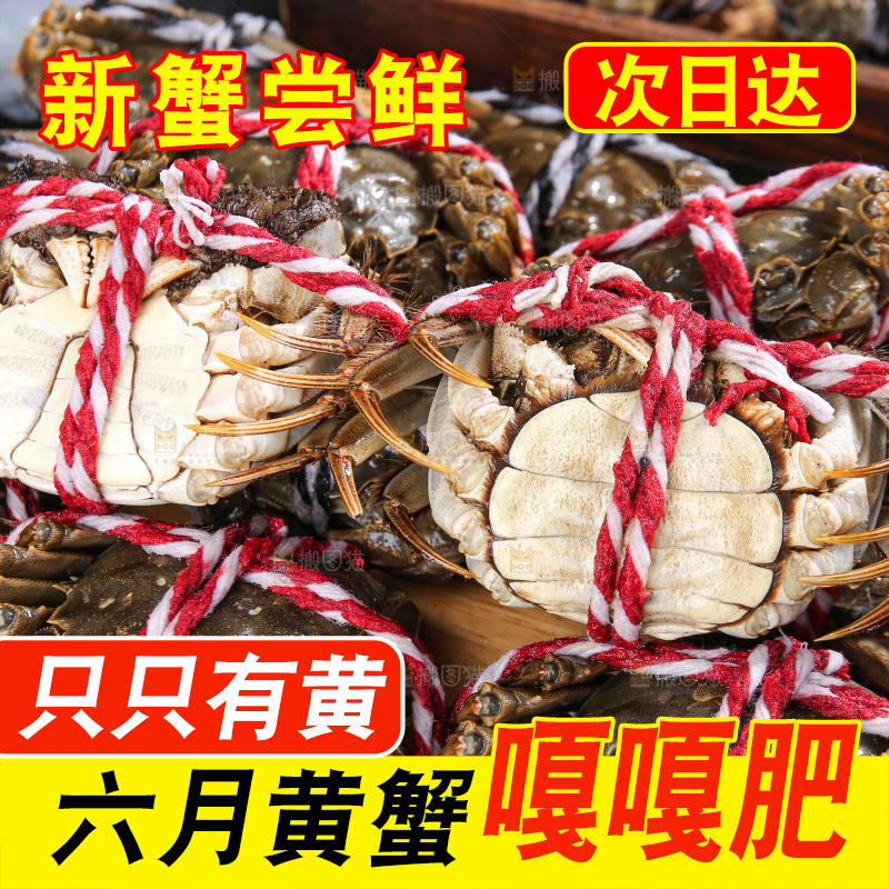 黑底上的鲜活大闸蟹