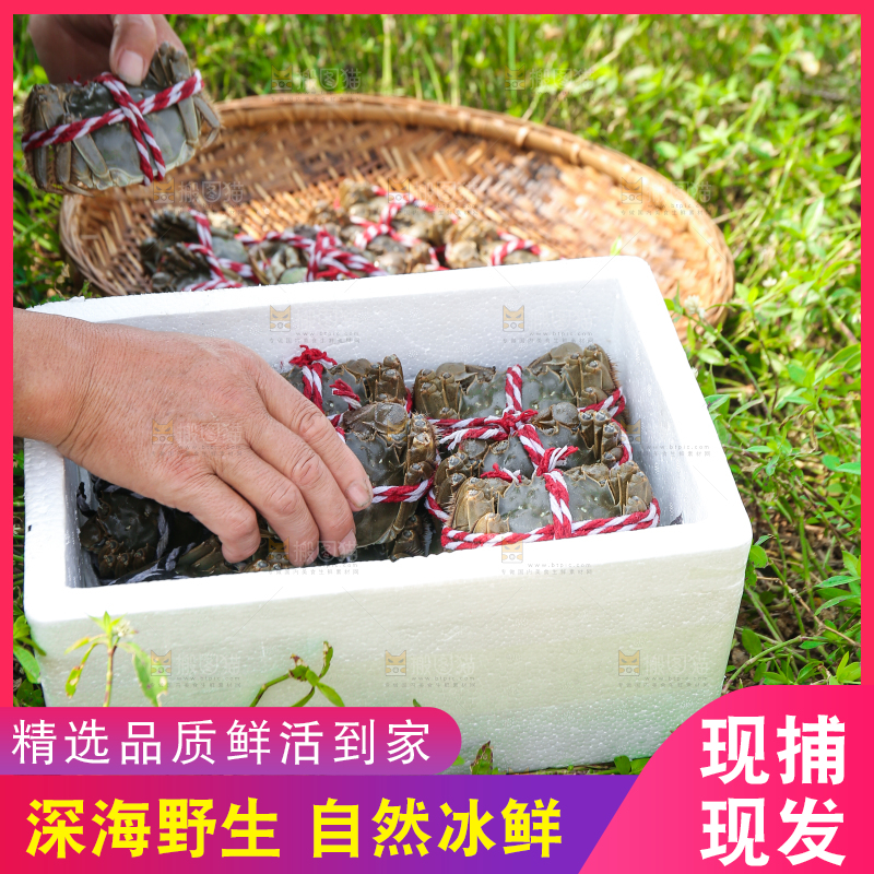 手里拿着阳澄湖大闸蟹