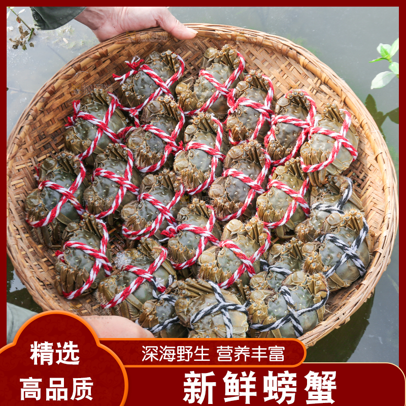 手里拿着阳澄湖大闸蟹