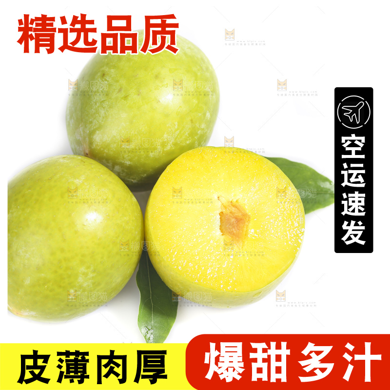 白底上放着新鲜恐龙蛋