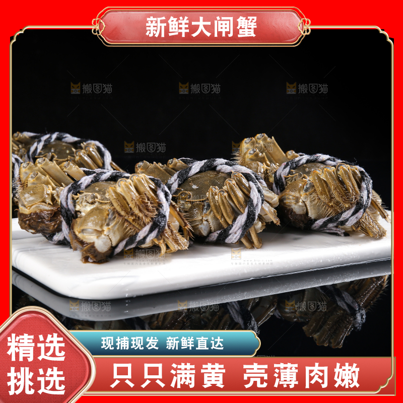 黑底上的鲜活大闸蟹
