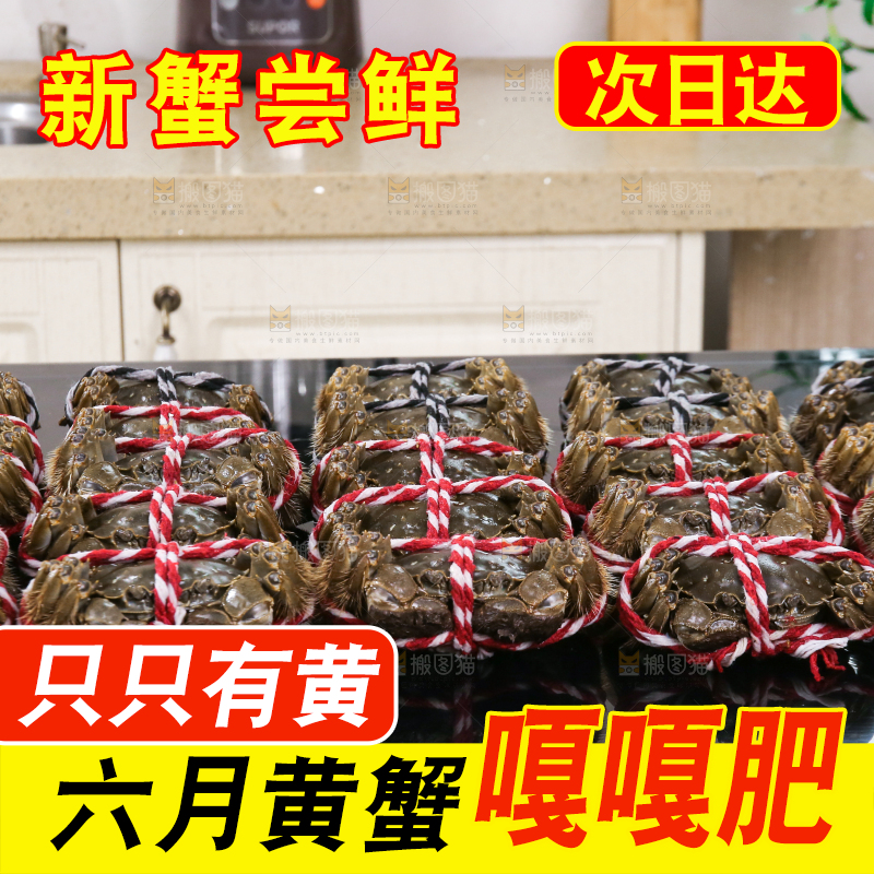 黑底上的鲜活大闸蟹