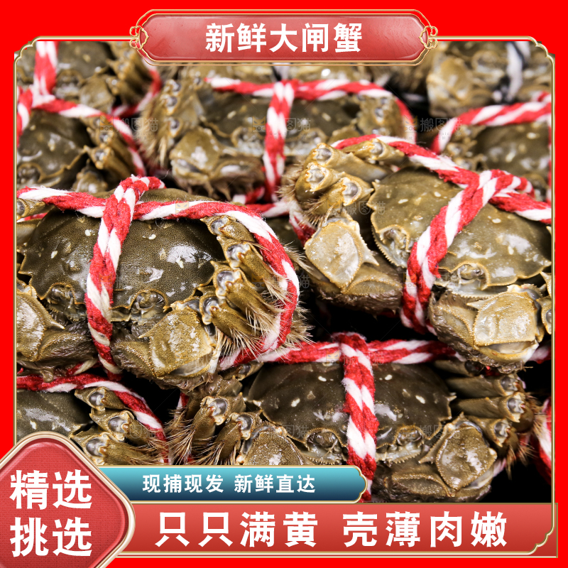 黑底上的鲜活大闸蟹