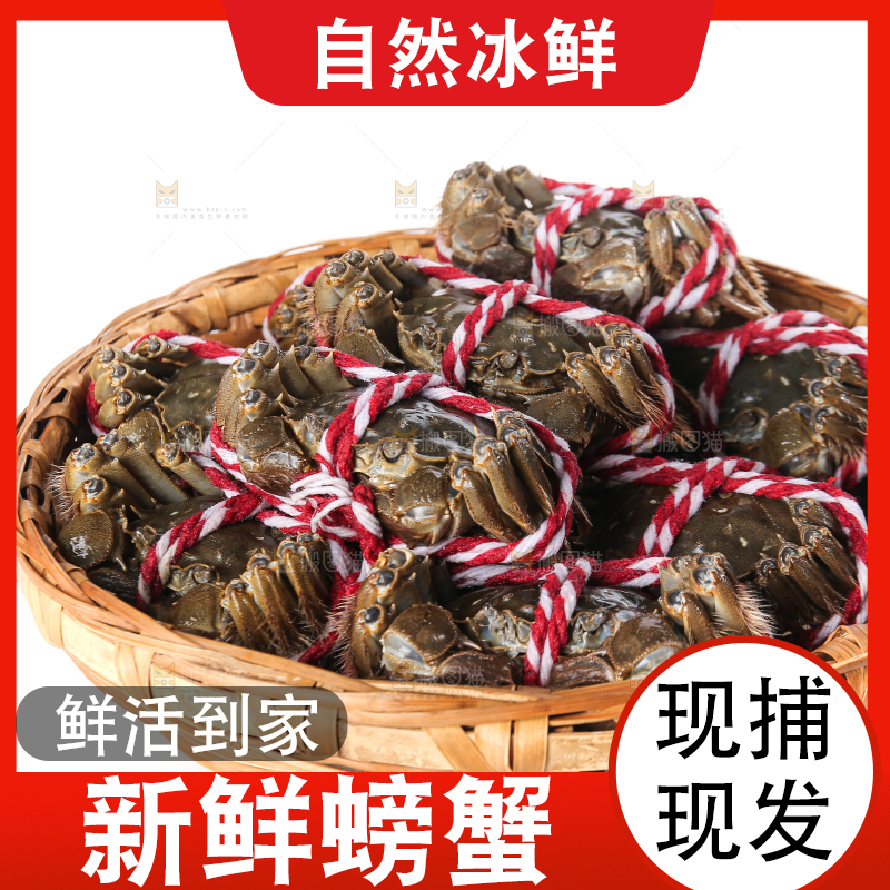 白底上的大闸蟹