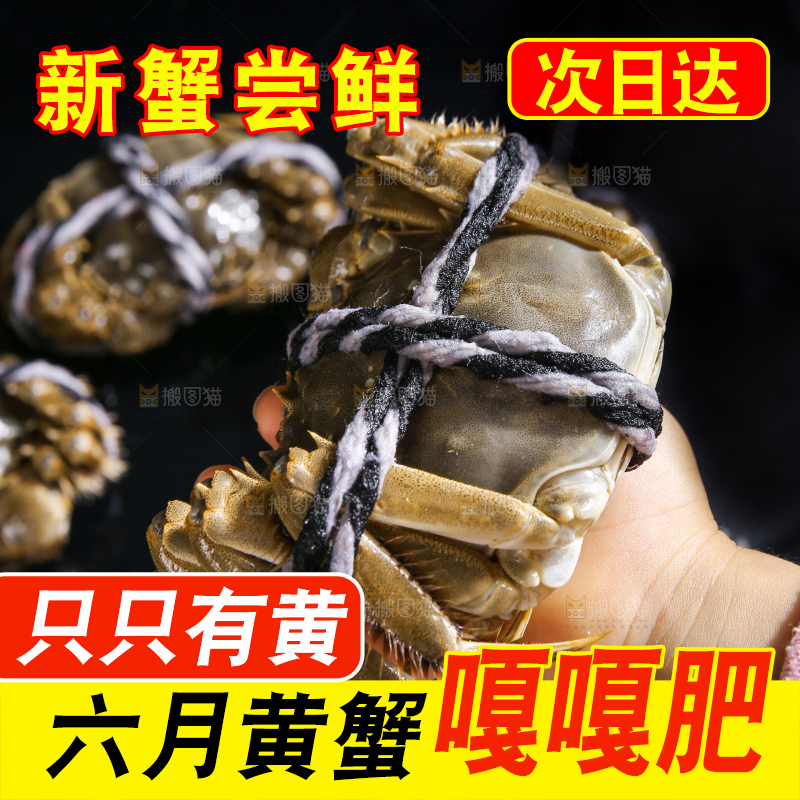 黑底上的鲜活大闸蟹