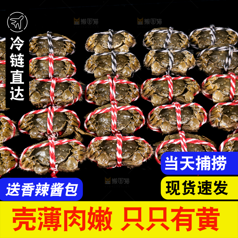 黑底上的鲜活大闸蟹