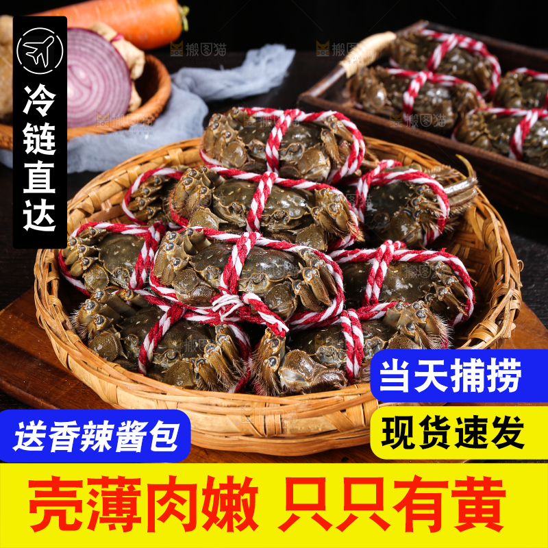 黑底上的鲜活大闸蟹