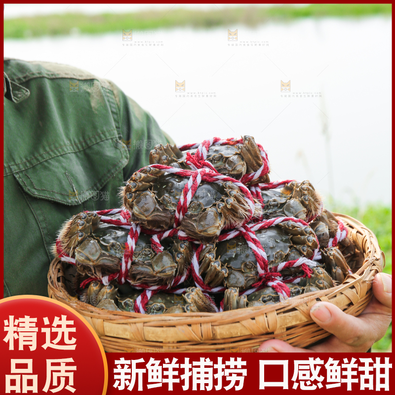 手里拿着阳澄湖大闸蟹