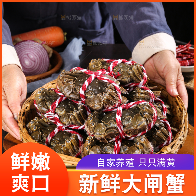 黑底上的鲜活大闸蟹