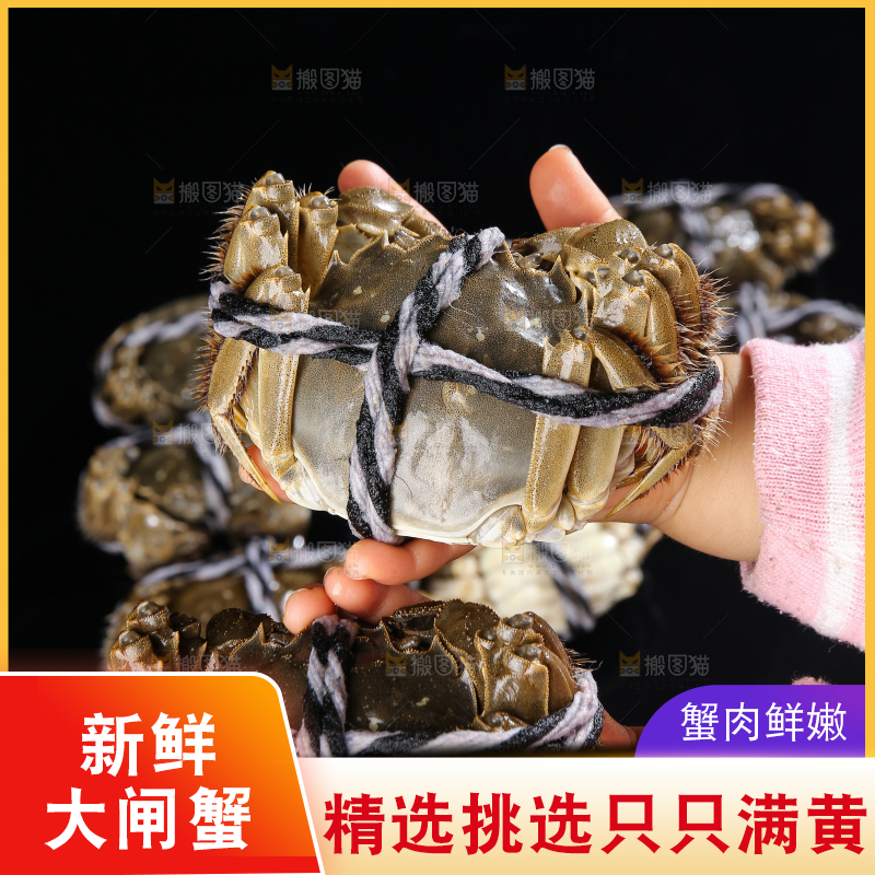 黑底上的鲜活大闸蟹